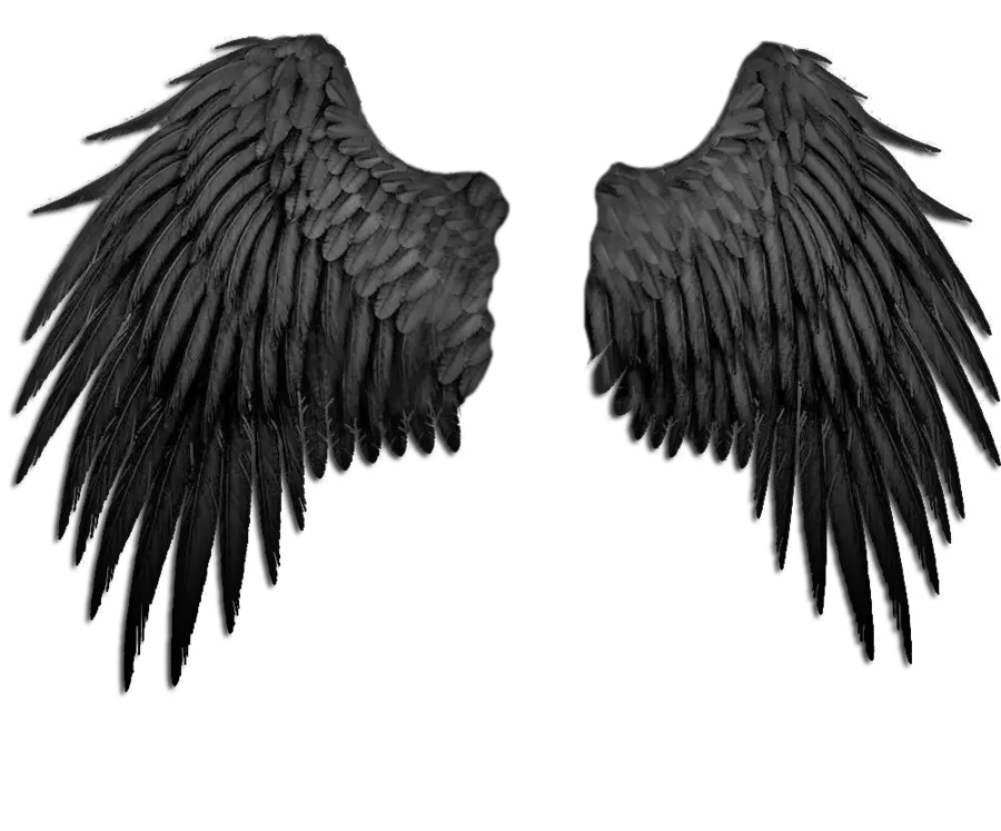 Angel Wings Tattoo Transparent Png