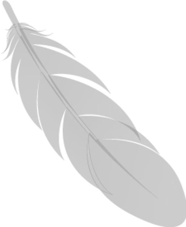 Feather Black Icon Png Image Images Download Solid Feather Icon Vector
