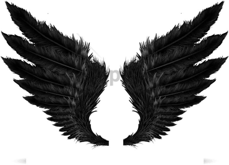 Angel Wings Tatoo Png