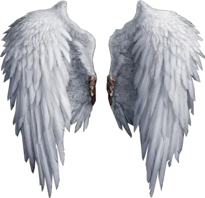 Angel Wings Png No Backgrounf