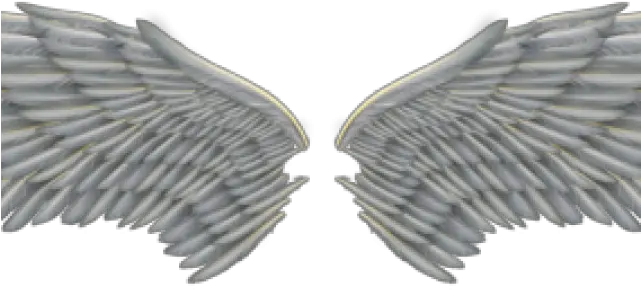 Angel Wings Png Picsart