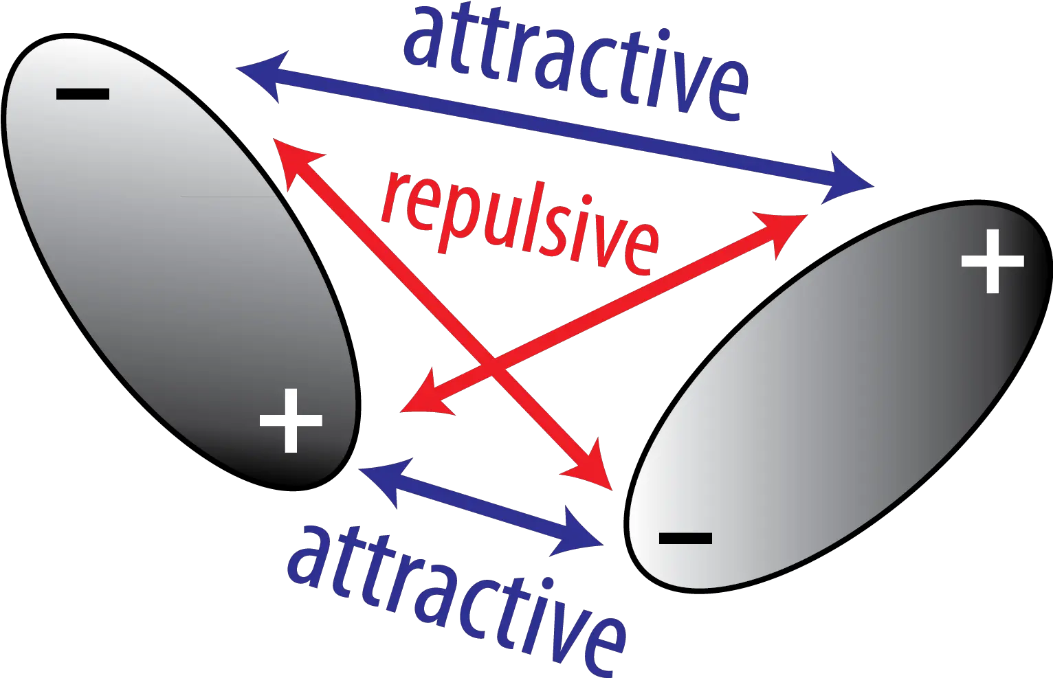 Electrostatic Interaction Between Two Dipolar Interaction Png Molecules Png