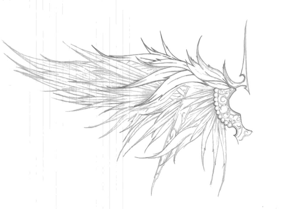 Angel Wings Png Dvianart