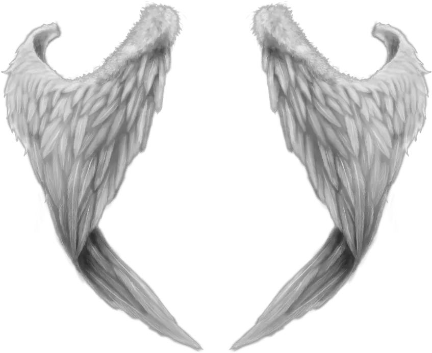 Angel Wings Png Drawing