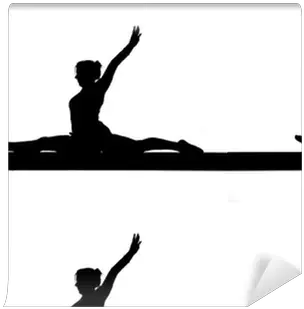 Wallpaper Silhouette Of Female Gymnast Doing The Splits Stretches Png Balance Beam Icon