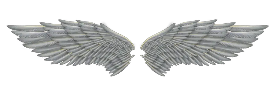 Angel Wings Png Back