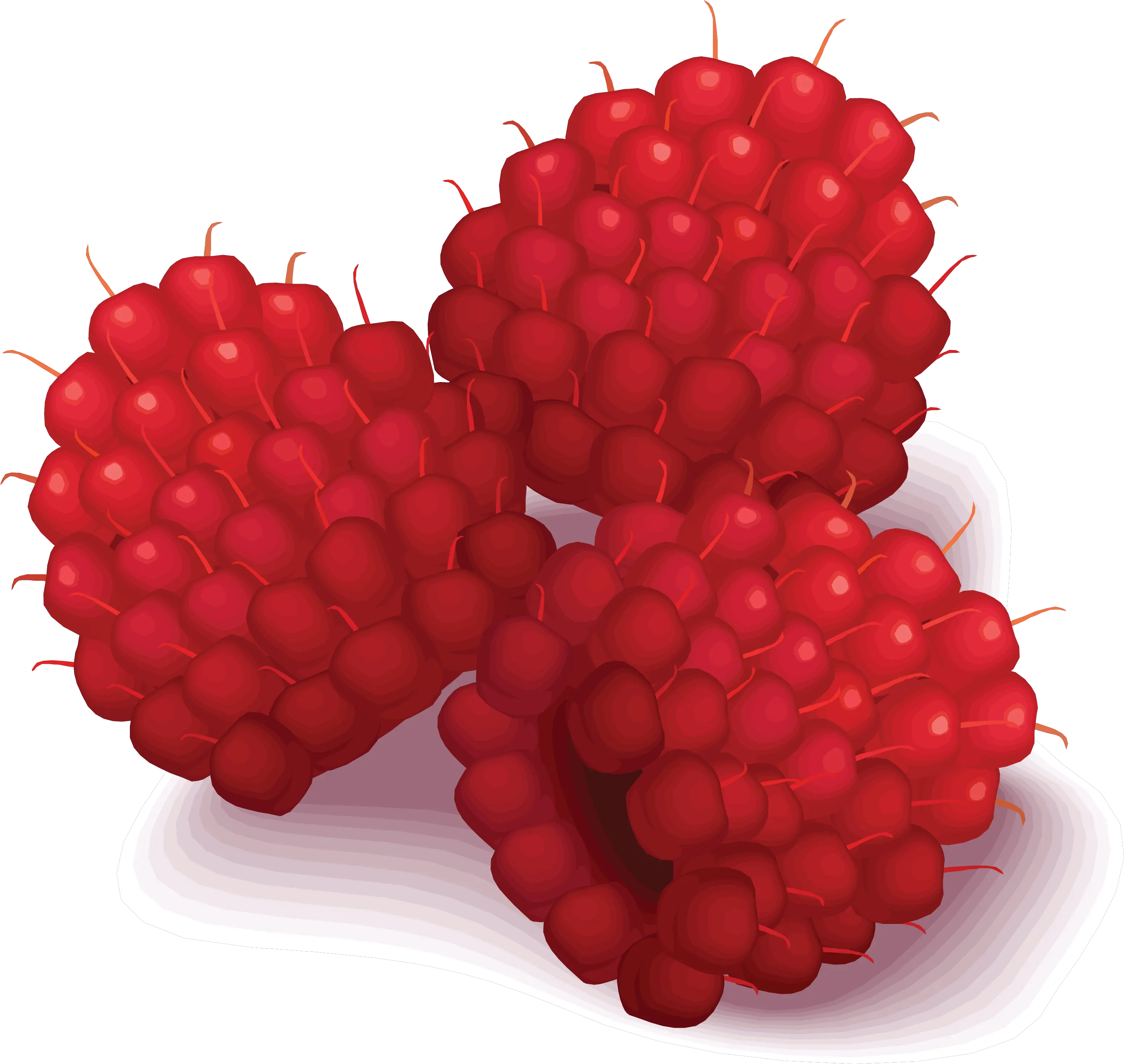 Rasberry Drawing Png Image Raspberries Clip Art Raspberries Png
