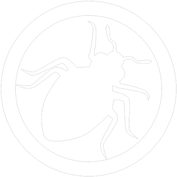 World Pest Control Kansas Pest Control Company Parasitism Png Ks Icon