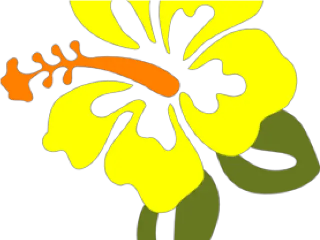 Yellow Flower Clipart Orange Transparent Yellow Hibiscus Clipart Png Hibiscus Flower Png