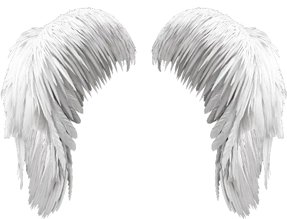 Angel Wings Overlay Png