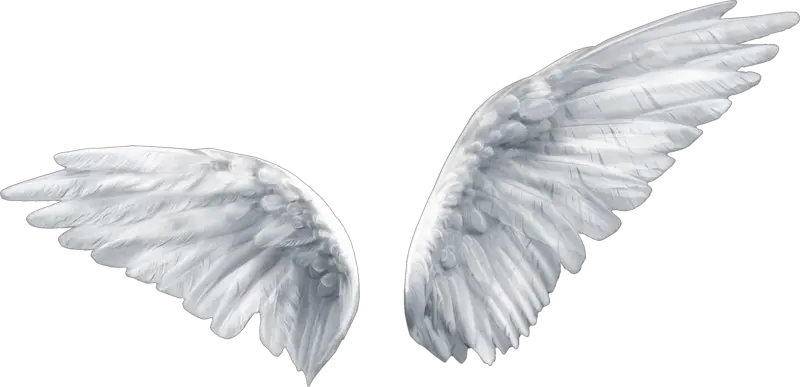 Angel Wings Gif Png