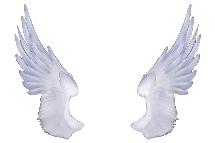Angel Wings Cutout Png