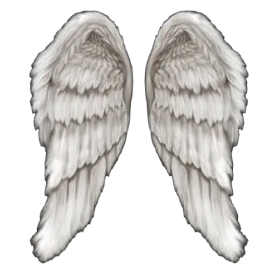 Angel Wings Buring Png Transparent