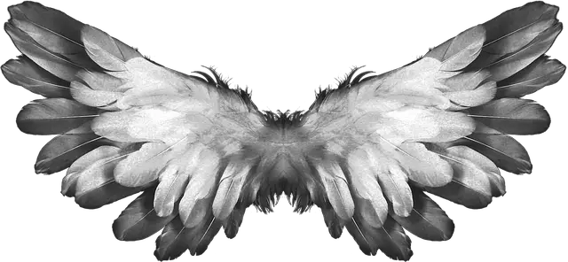 Angel Wings Back View Png