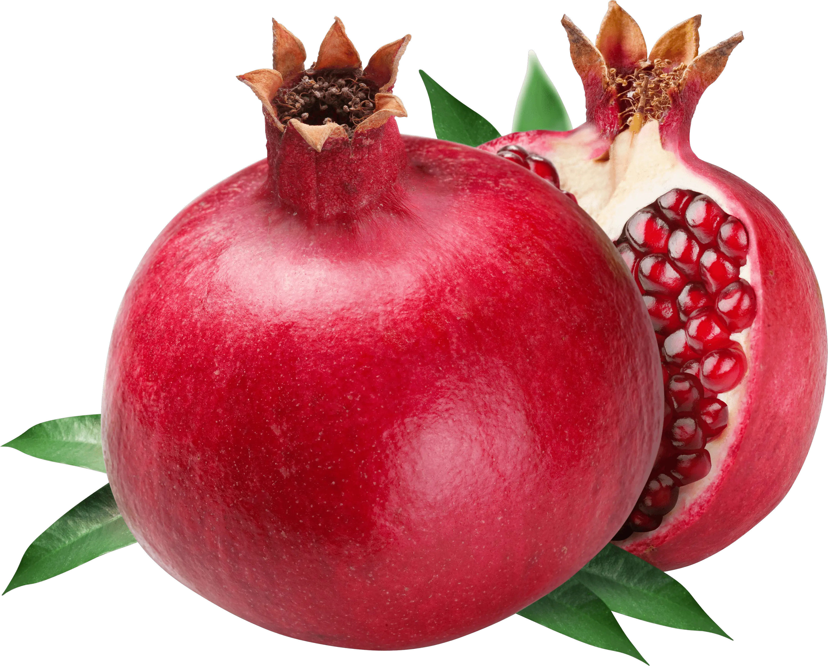 Pomegranate Png Image For Free Download Pomegranate Images Hd Png Shrub Transparent Background