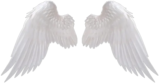 Angel Wing Silhouette Png
