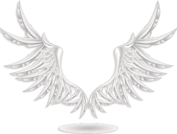 Angel Wing Png Clipart