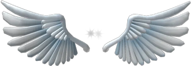 Angel Wing Scroll Png