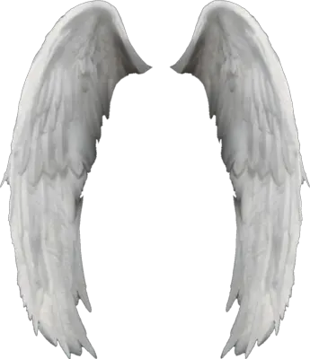 Angel Wing Cartoon Png