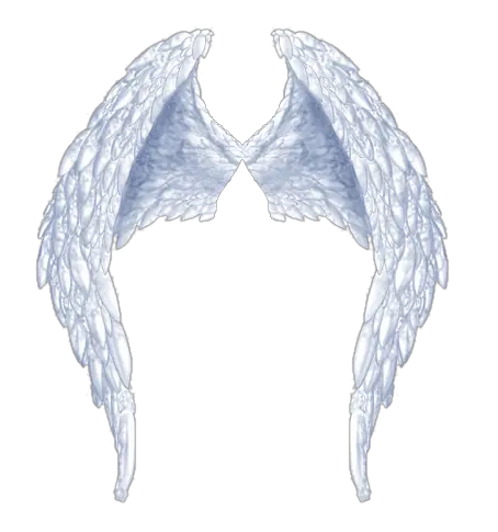 Angel Wing Graphic Png