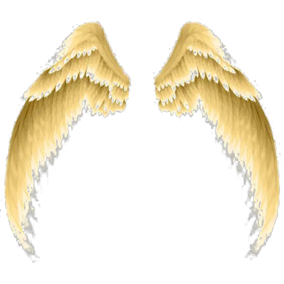 Angel Wing Amine Sexy Png