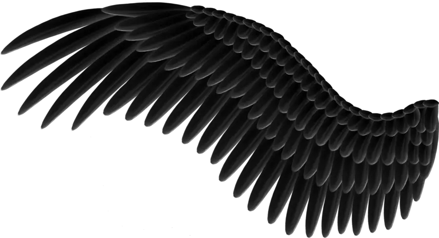 Angel Wing Black White Png