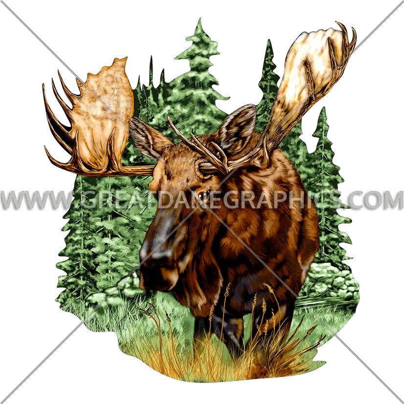 Wildlife Moose Production Ready Artwork For T Shirt Printing Elk Png Moose Png