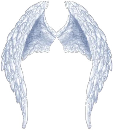 Angel Side Wings Png