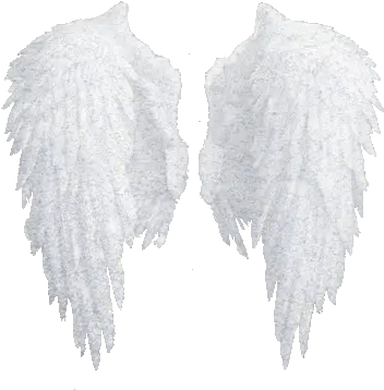 Angel Halo Wing Png