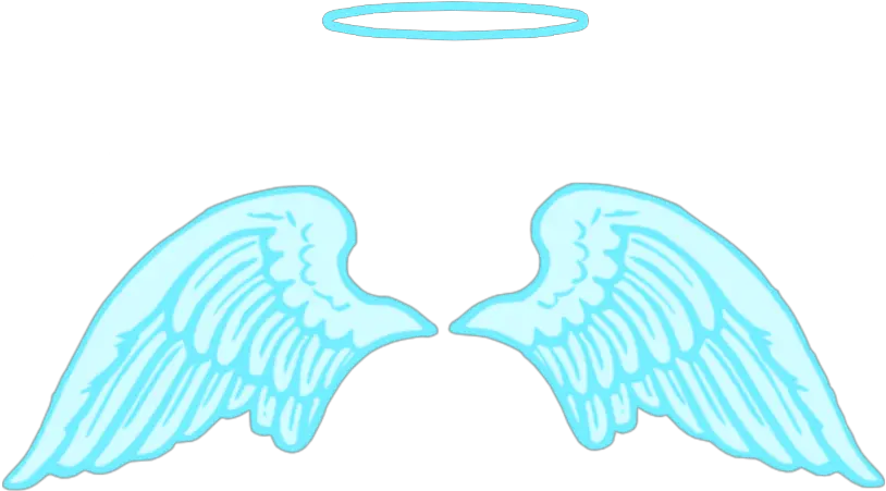 Angel And Demon Wings Png