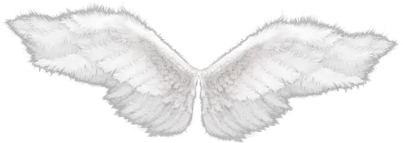 Angel Color Wings Png