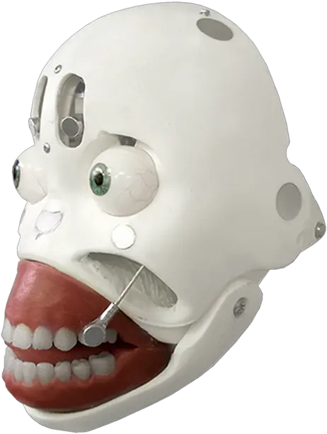 Download Hd Robotic Head Sex Robot Skull Transparent Png Face Mask Robot Head Png
