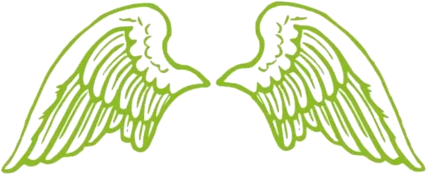 12mb Angel Wing Png