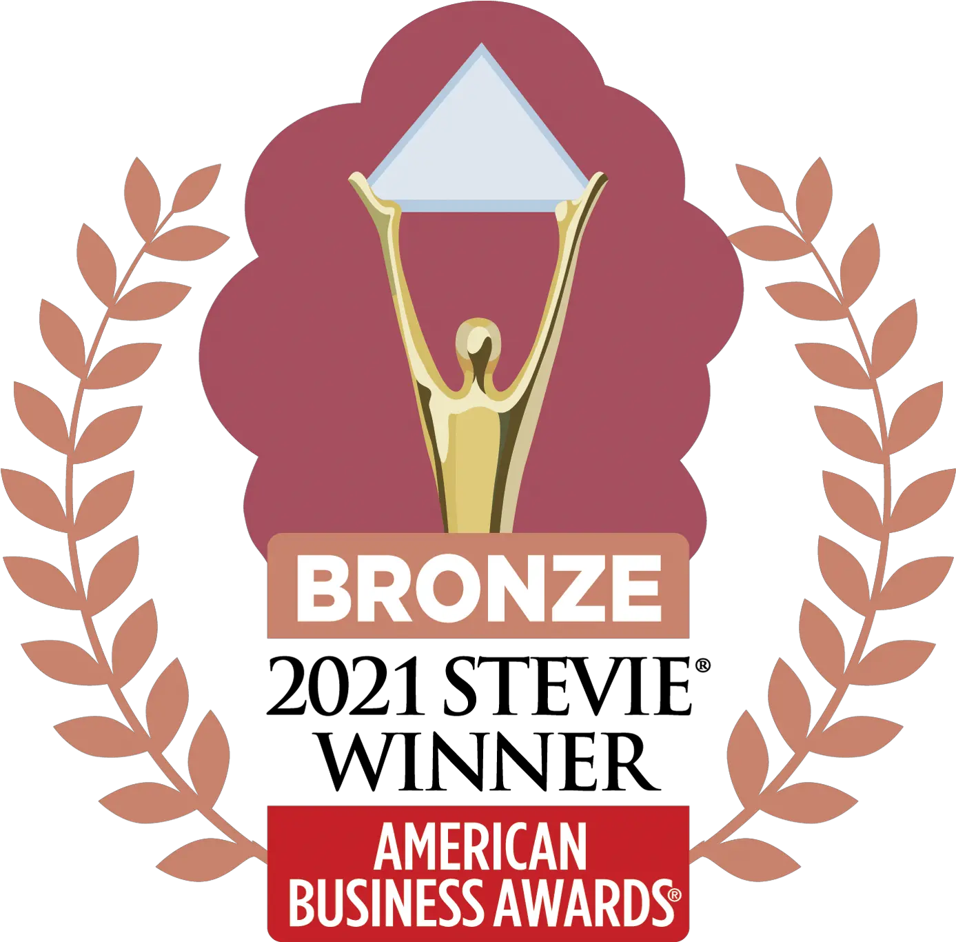 Awards Edmentum 2021 Bronze Stevie Award Png Ama Icon Award Winners