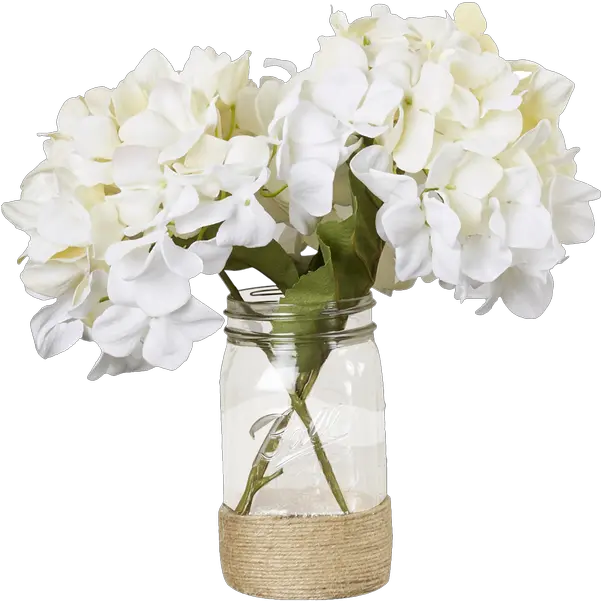 Hydrangea Bouquet In Rope Embellished Mason Jar Transparent Mason Jar Flowers Png Mason Jar Png