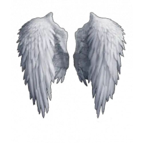 Dark Angel Wings Png