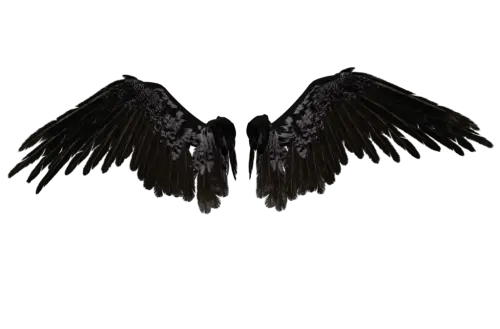 Cute Angel Wings Png