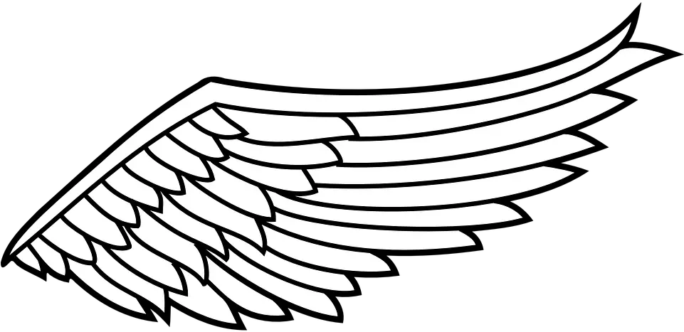Angel Wings With Halo Png