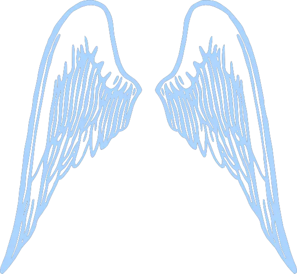 Angel Wings Side View Png