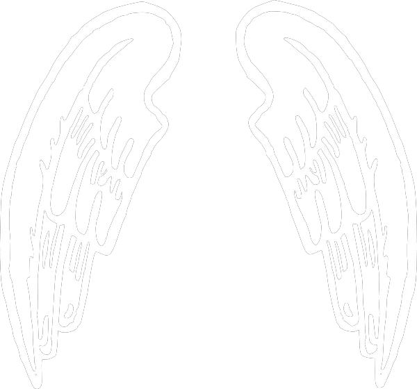 Angel Wings Free Png