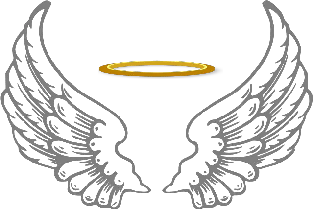 Transparent Background Angel Wings Png