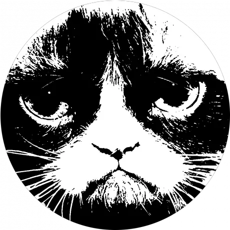 Revenge Of Folk Politics Cat Png Grumpy Cat Png