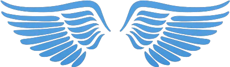 Angel Wings Png Transparent