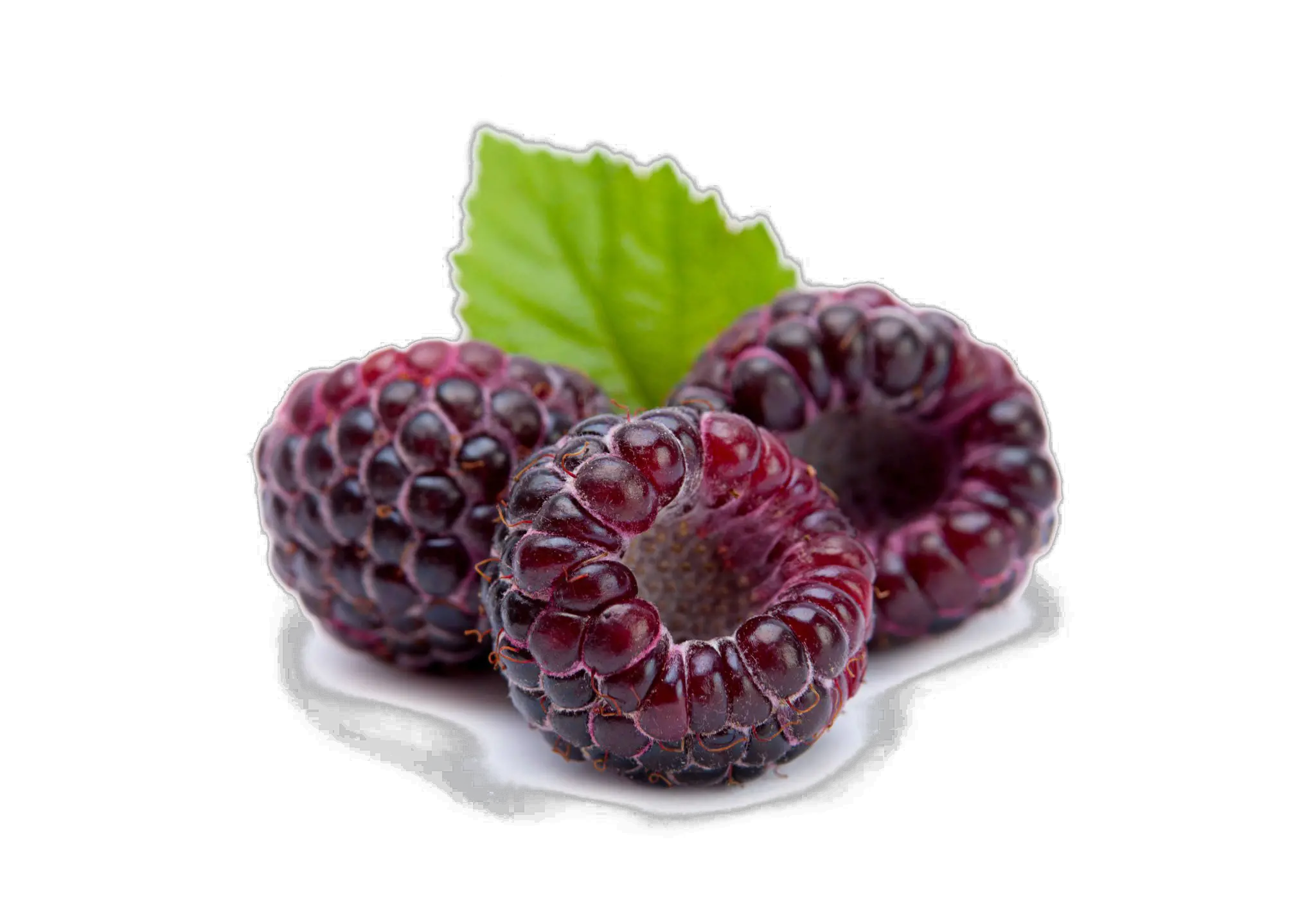 Download Raspberry Png Image Background Raspberries