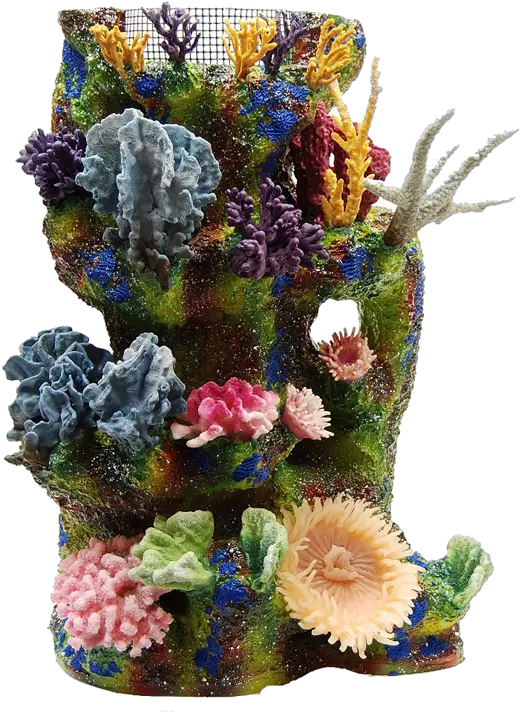 Coral Reef Png Coral Reef Coral Reef Png