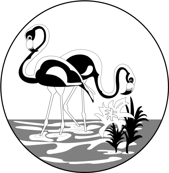 Black And White Flamingos Clip Art Vector Black And White Flamingo Vector Png Flamingo Clipart Png