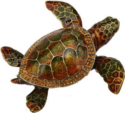 Download Loggerhead Sea Turtle Pewter Hawksbill Sea Turtle Png Sea Turtle Png