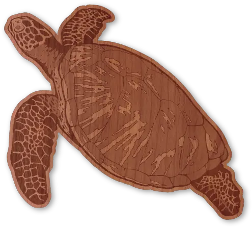 Download Hawksbill Sea Turtle Hawksbill Sea Turtle Png Sea Turtle Png