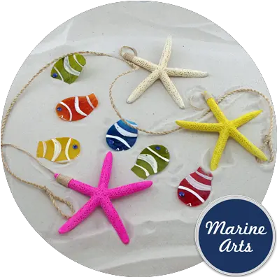 Garland Sea Star U0026 Fish Marine Arts Wholesale Shells Starfish Png Sea Star Png