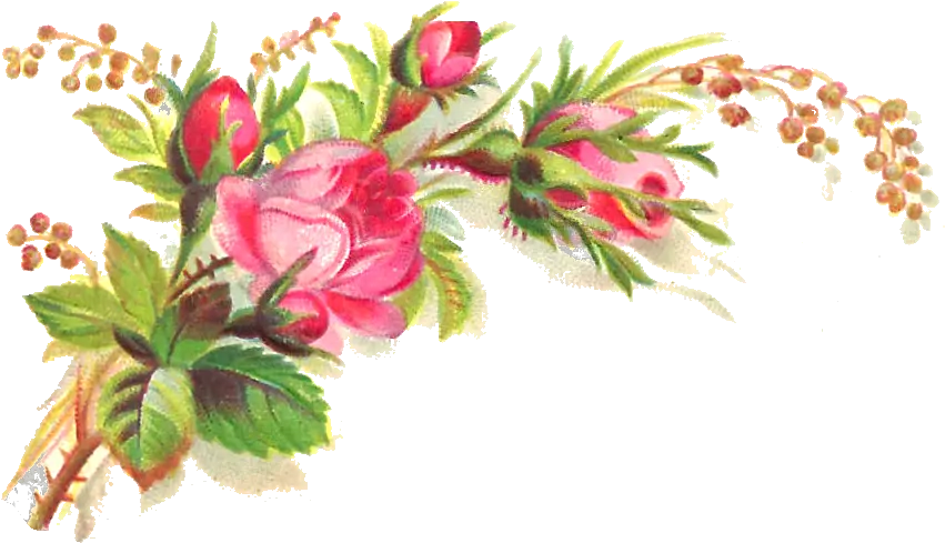 Pink Roses Flowers Bouquet Transparent Background Png Mart Take Rest And Get Well Soon Roses Transparent Background